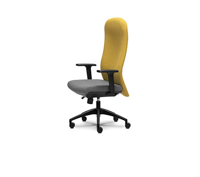 Fabric Chairs